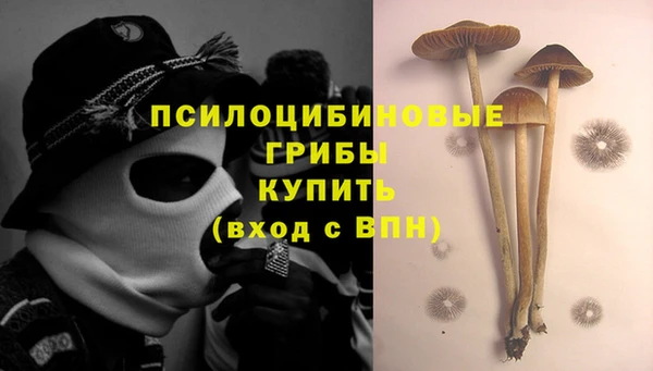 прущая мука Абинск